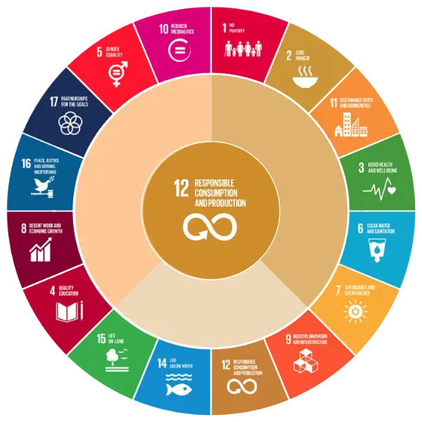 SDG12 Responsible Consumption & Design