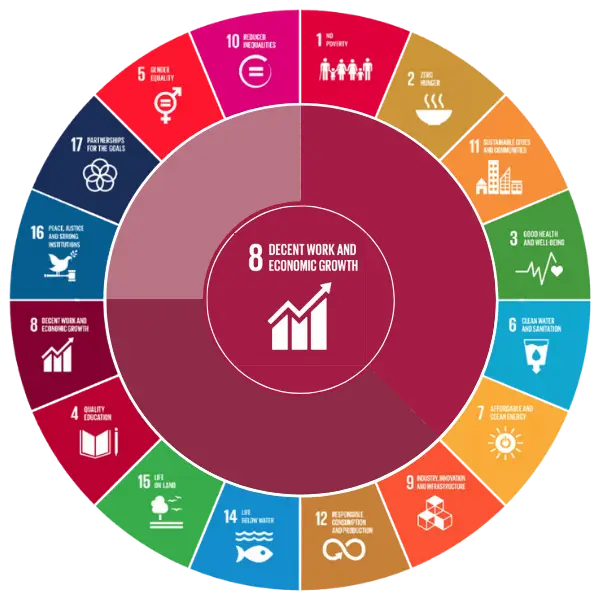 SDG8 Decent Work and Economic Growth